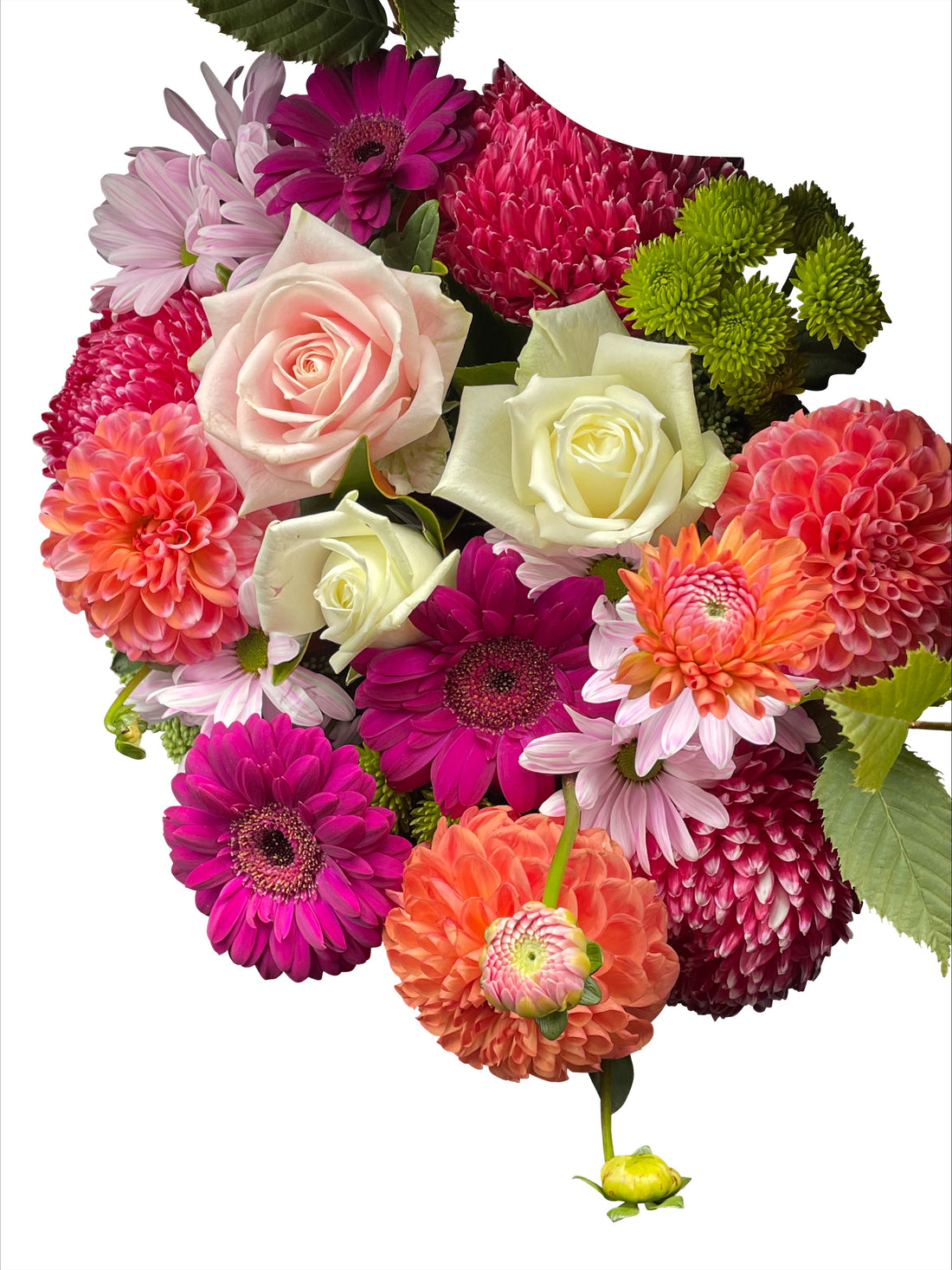 Bloomin Elegance